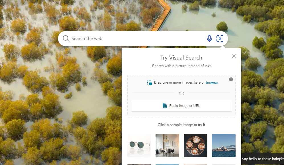 Bing Visual Search